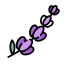 No Lavender - small icon