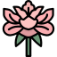 Peony - small icon