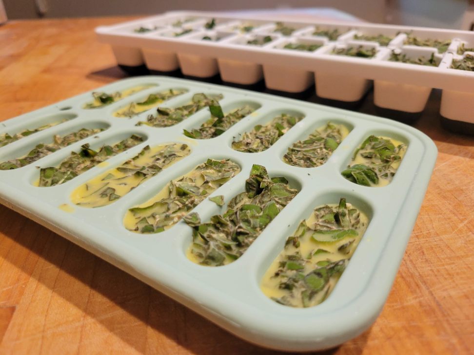 Frozen olive oil herb cubes in ice cube trays