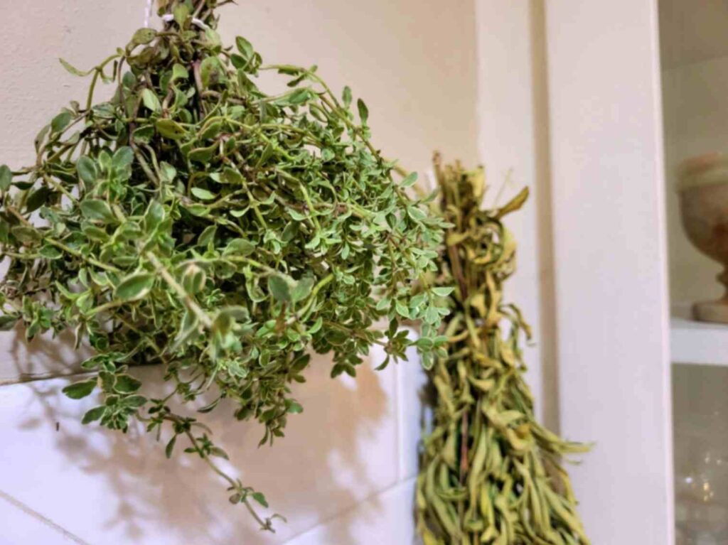 hanging thyme air drying