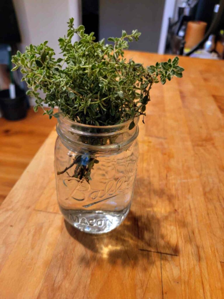 thyme water bouquet