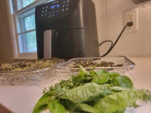 Drying Herbs in an Air Fryer