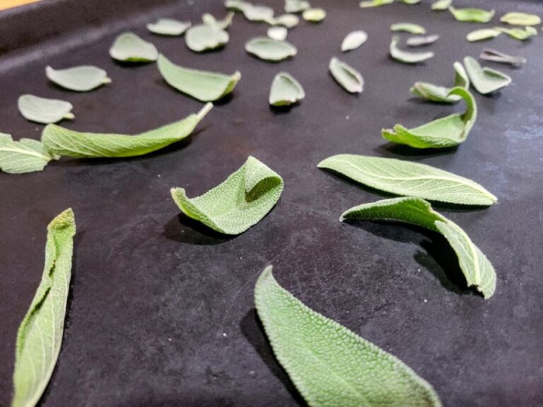 Frozen sage leaves on cooking sheet