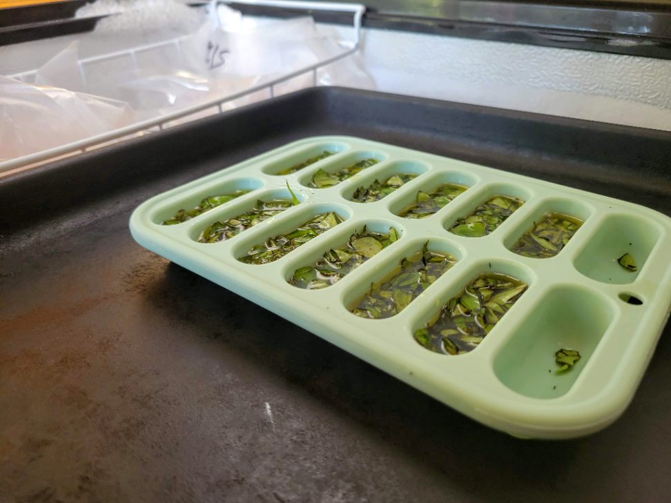 herb ice cube tray placed in freezer on a level cooking tray