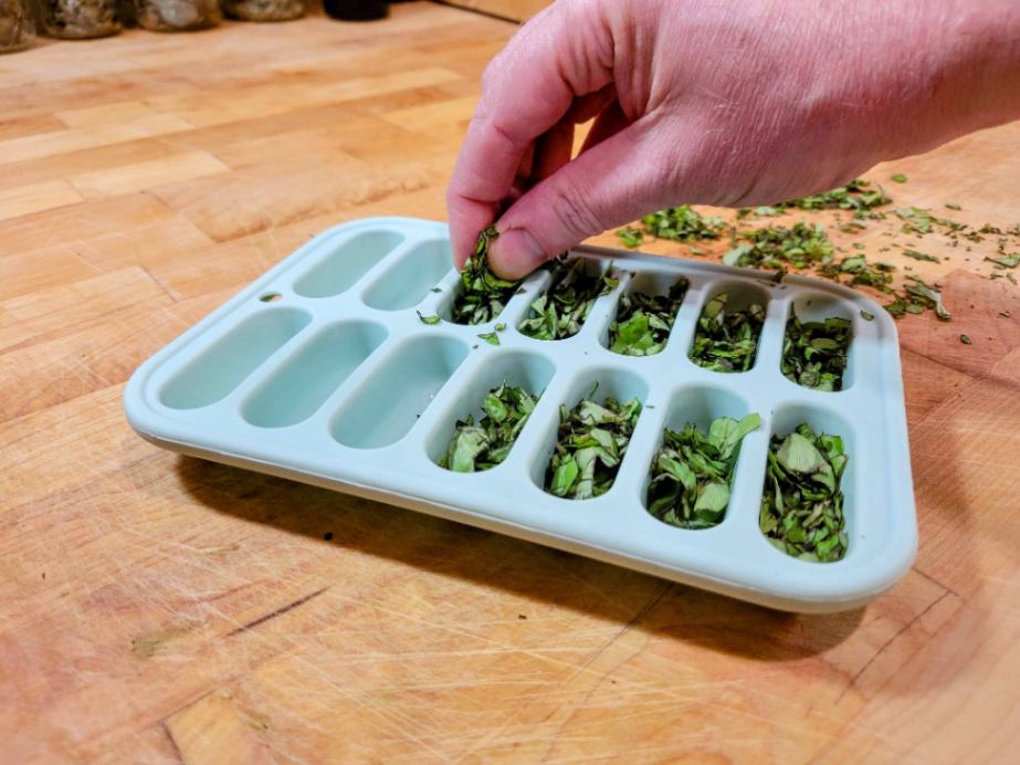 Filling ice cube tray with herbs for freezing