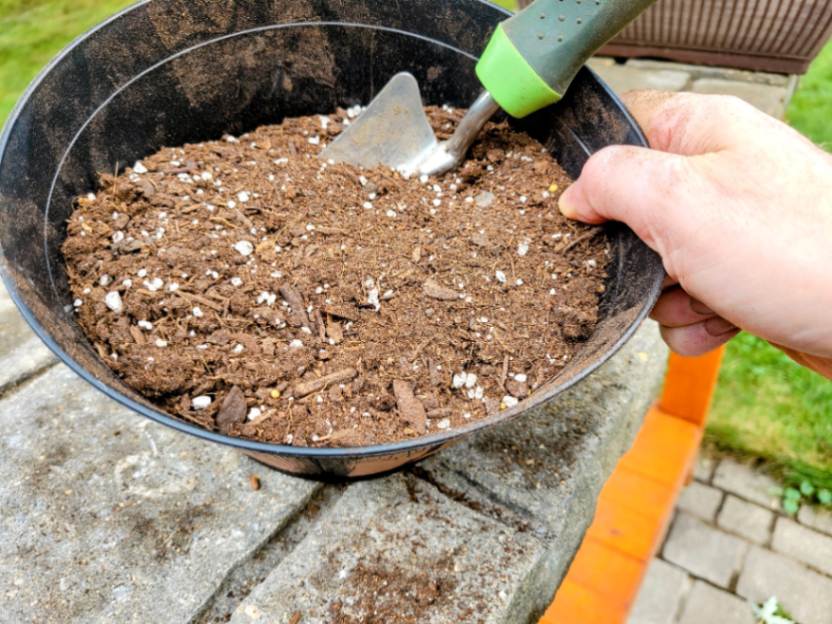 Potting mix in container