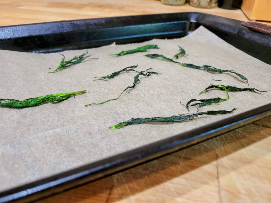 Blanched dill leaves on baking sheet