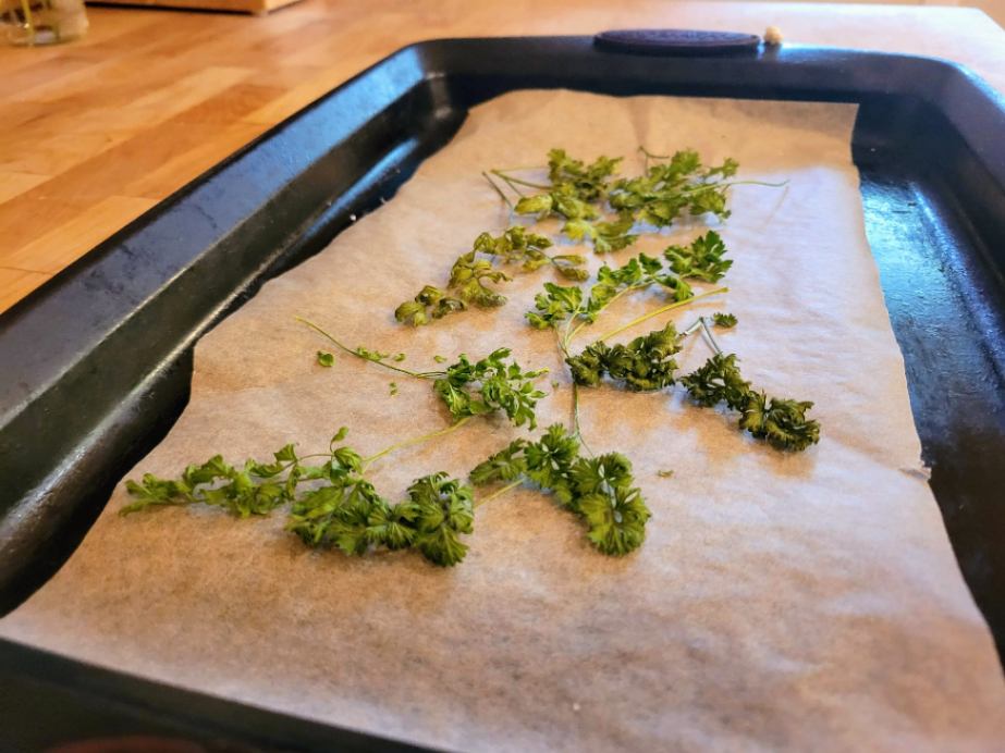 Dried parsley on baking sheet