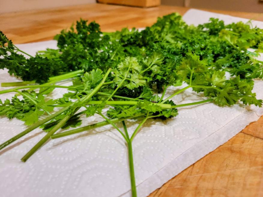 Parsley drying on paper towels on butcher block counter