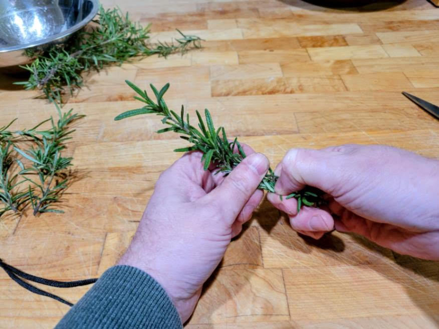 stripping leaves from rosemary cutting stem